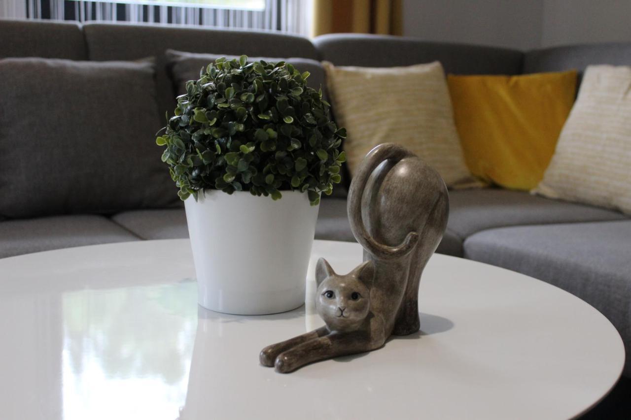 Apartamenty Swistak Maciej Dunajczan Bukowina Tatrzańska Kültér fotó