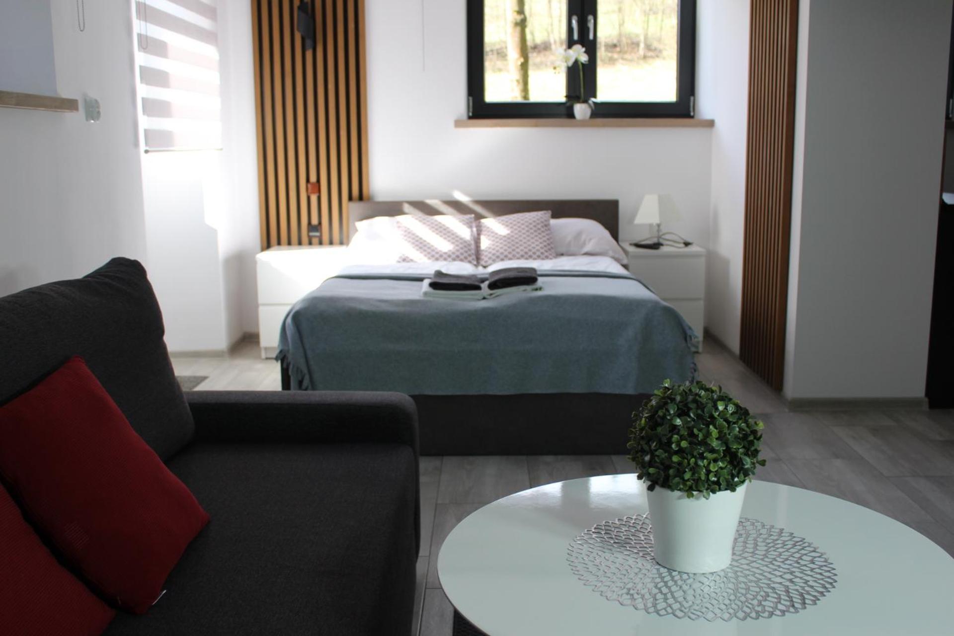 Apartamenty Swistak Maciej Dunajczan Bukowina Tatrzańska Kültér fotó